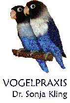 Vogelpraxis Dr. Sonja Kling, Berlin